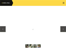 Tablet Screenshot of cmesinc.net